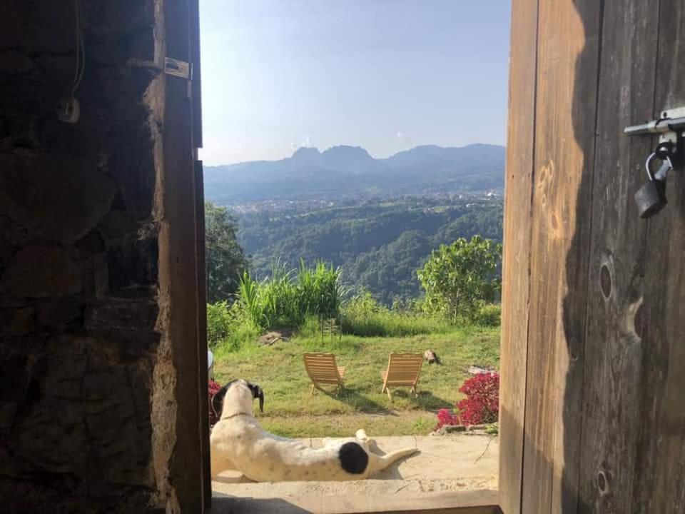 Cabanas Buenavista Huauchinango Ngoại thất bức ảnh