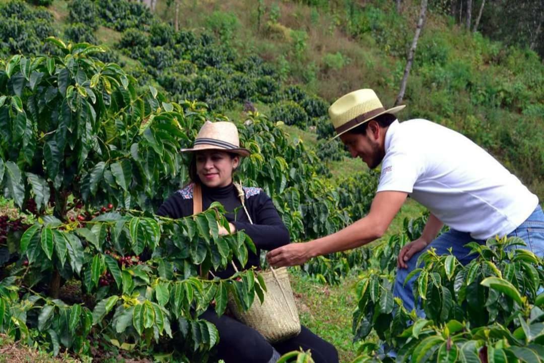Cabanas Buenavista Huauchinango Ngoại thất bức ảnh